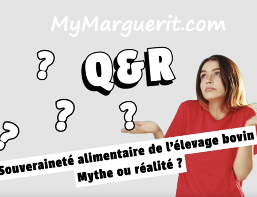 🌱 La souveraineté alimentaire grâce à l’élevage bovin : un enjeu clé pour demain ! 🐄