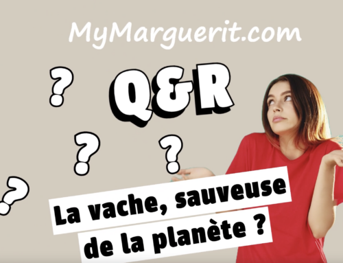 🌍 Les vaches peuvent-elles vraiment sauver la planète ? 🐄